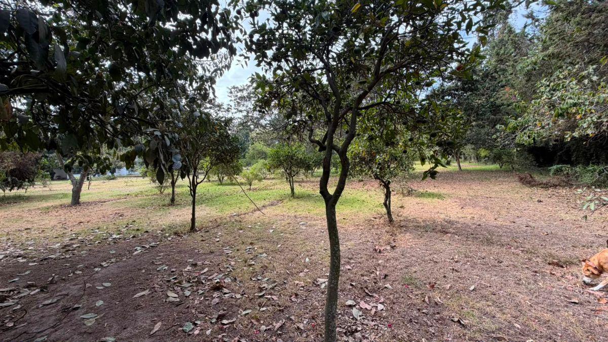 Terreno de Venta Sector de Puembo — imagen 6