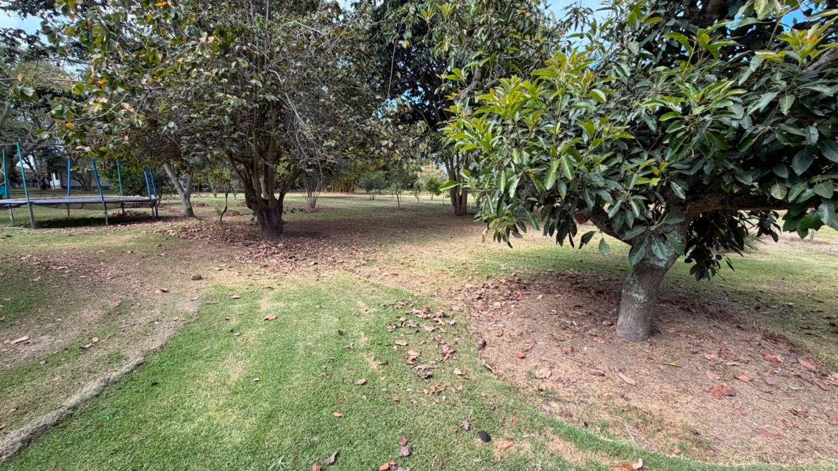 Terreno de Venta Sector de Puembo — imagen 5