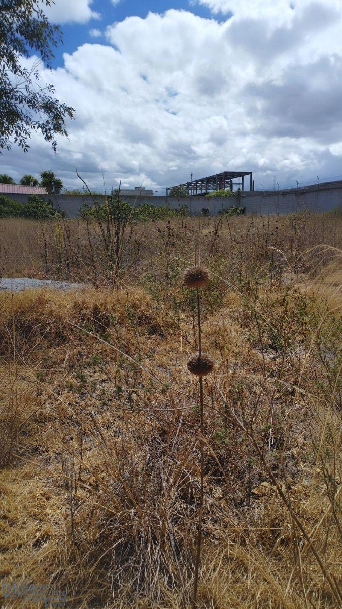 Terreno en venta en Quito, Pichincha