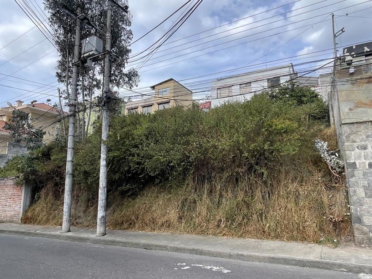 Terreno de Venta, Sector Ponceano — imagen 6