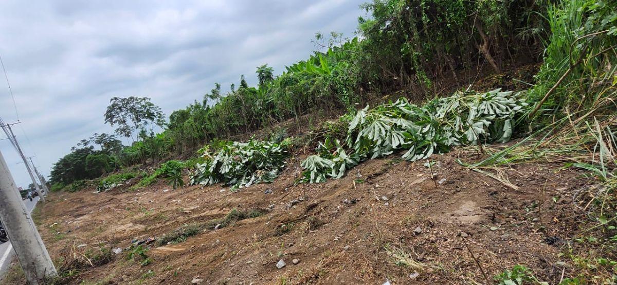 Terreno Urbano de 48917 m² en Venta en Milagro, Guayas — imagen 3