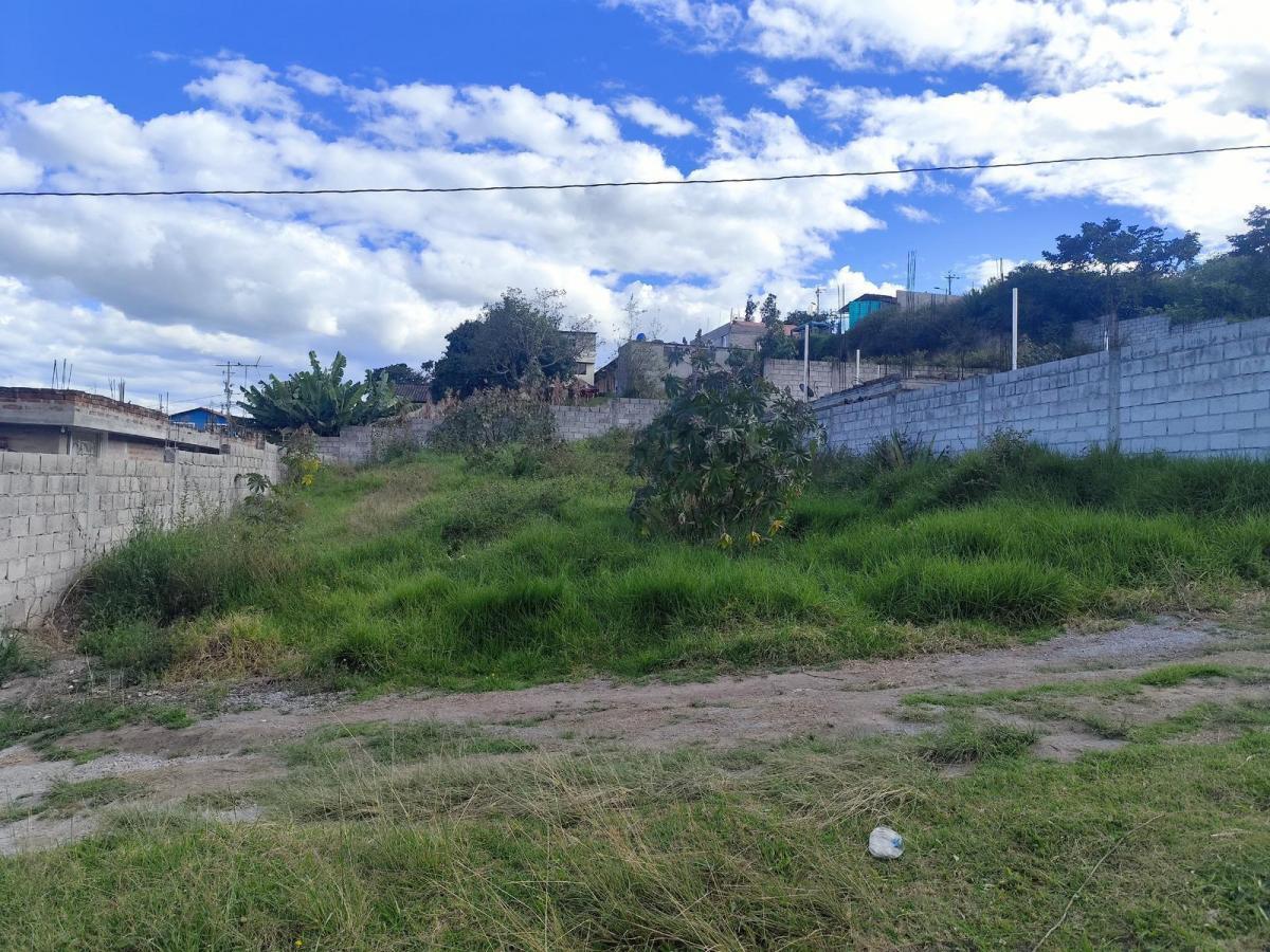 Lotes de Venta, Cumbaya, Sector Francisco de Pinsha, Disponibles 320 y 393 m² Precio Negociable — imagen 8