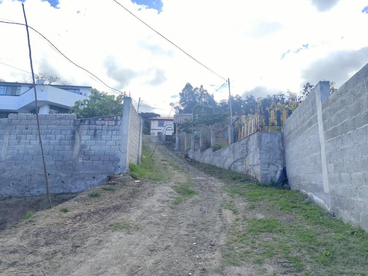 Lotes de Venta, Cumbaya, Sector Francisco de Pinsha, Disponibles 320 y 393 m² Precio Negociable — imagen 4