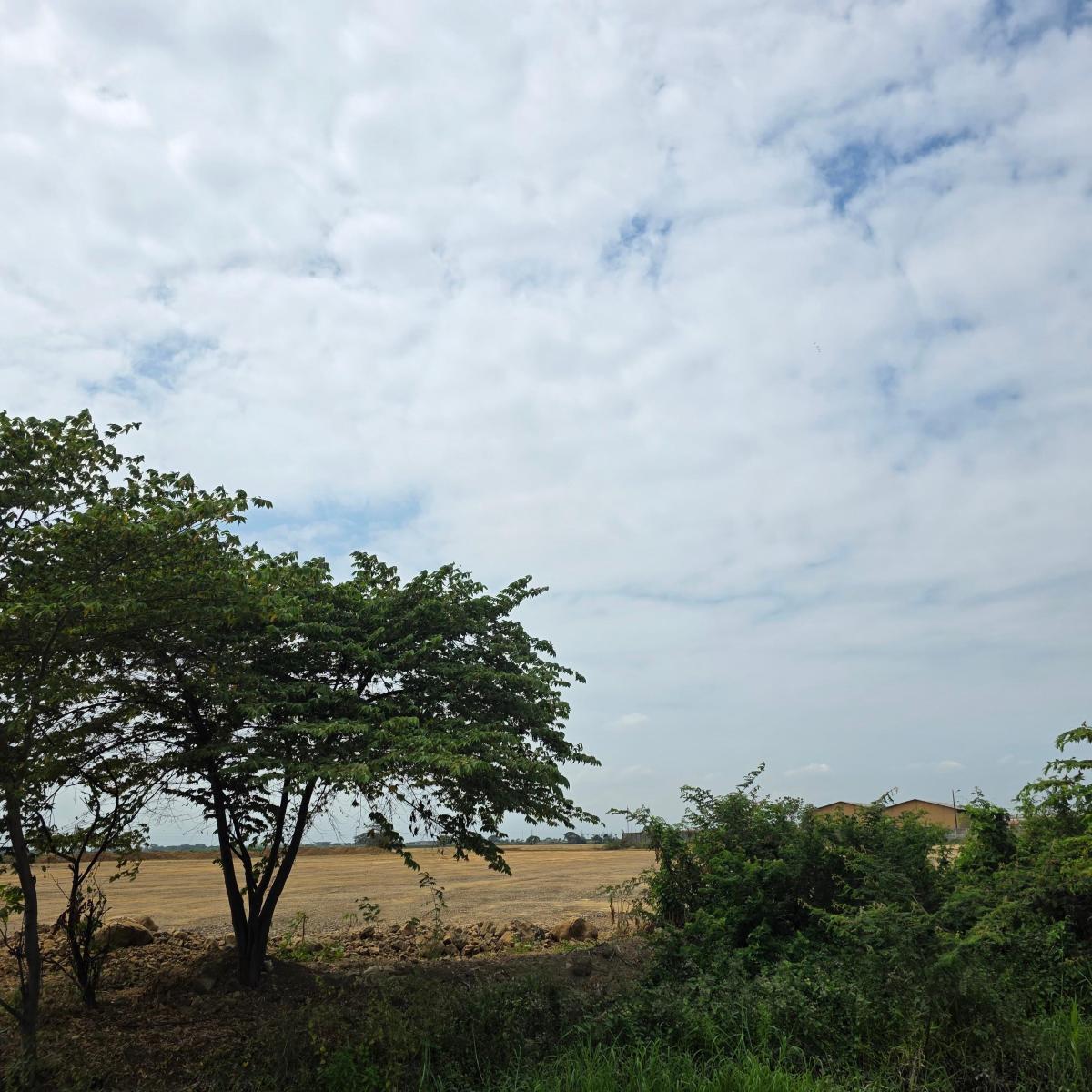 Terreno en venta en Guayaquil, Guayas