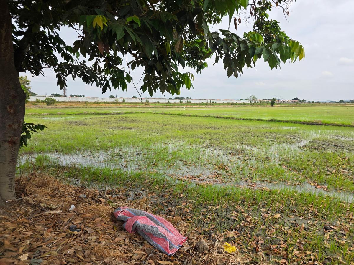 Vendo Terreno Ideal Para Urbanización, El Nuevo Samborondon, La Barranca, Atras de La Peninsula Cc, Guayas — imagen 10
