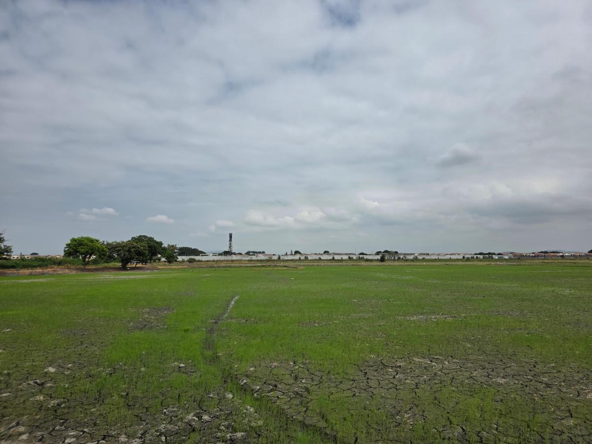 Vendo Terreno Ideal Para Urbanización, El Nuevo Samborondon, La Barranca, Atras de La Peninsula Cc, Guayas — imagen 5