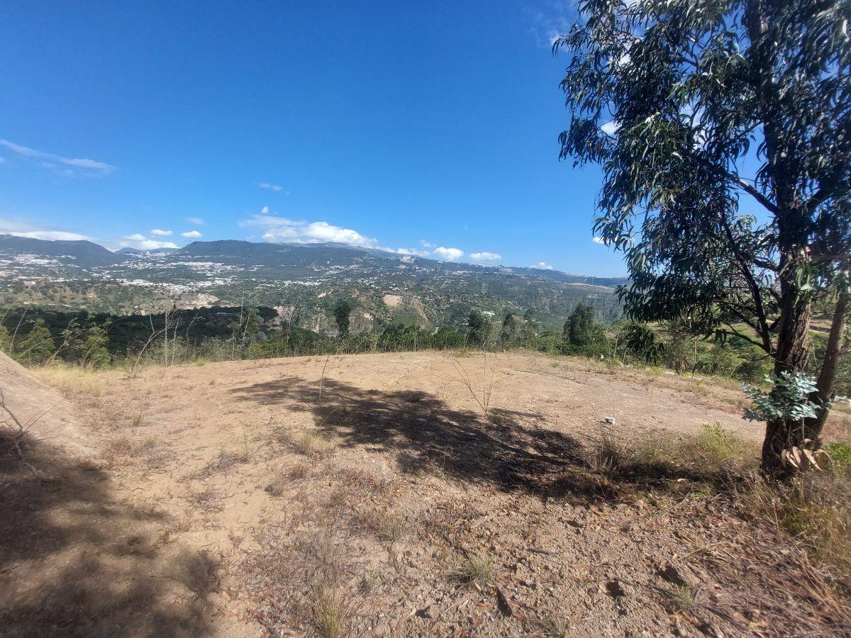 Terreno de 1111 m² en Venta en Tumbaco — imagen 3