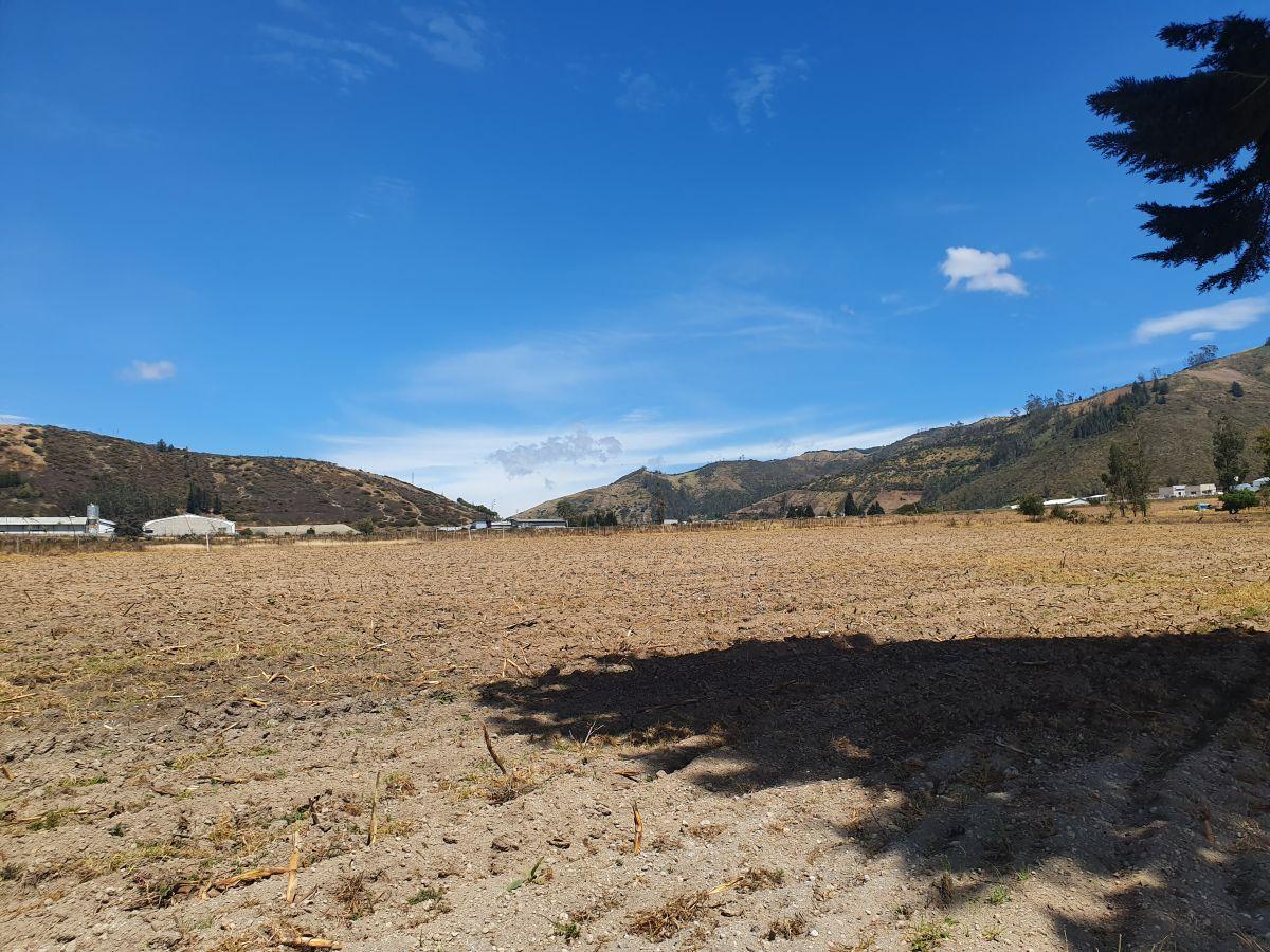 Terreno de Uso Industrial en Venta – 45.000 m² – Calacalí — imagen 9