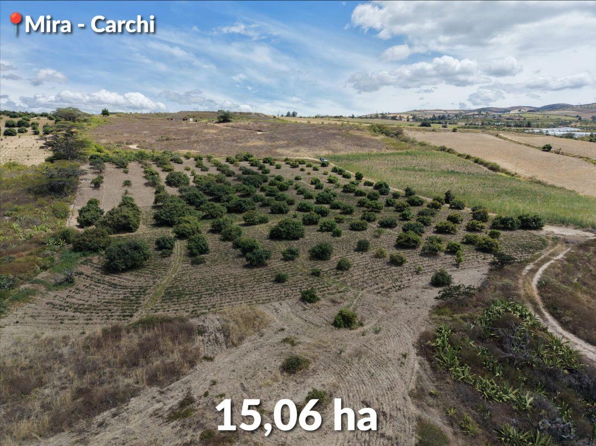Se Vende Predio de 15 Hectáreas, Mira, Provincia del Carchi, Carchi — imagen 5