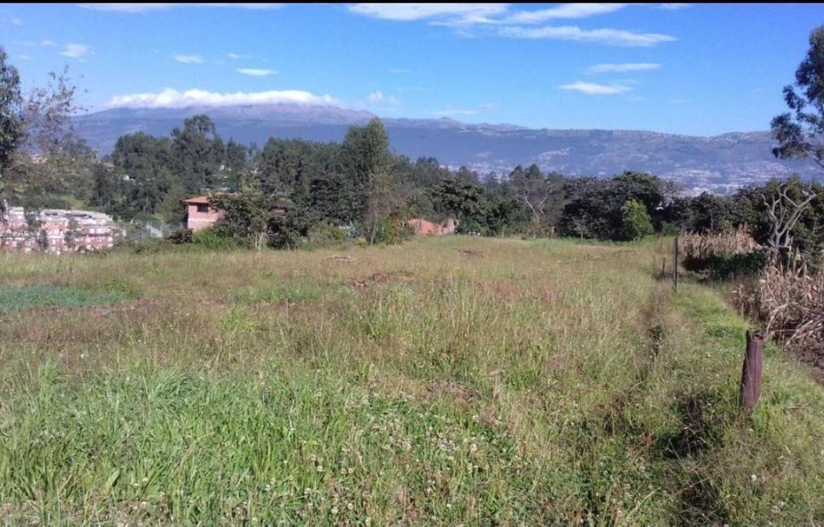 Terreno de 1988 m² en Venta en Alangasí — imagen 6