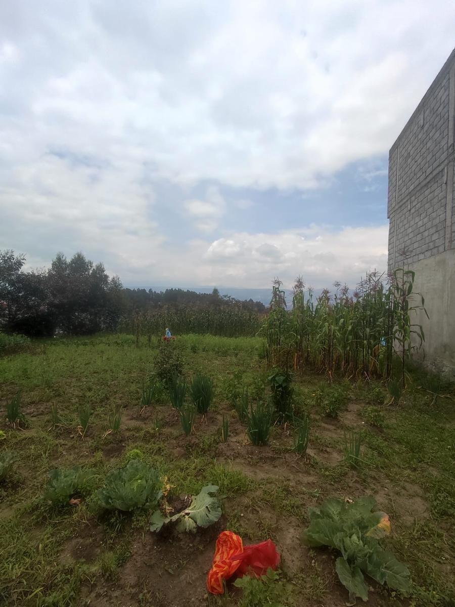 Terreno de 1988 m² en Venta en Alangasí — imagen 4