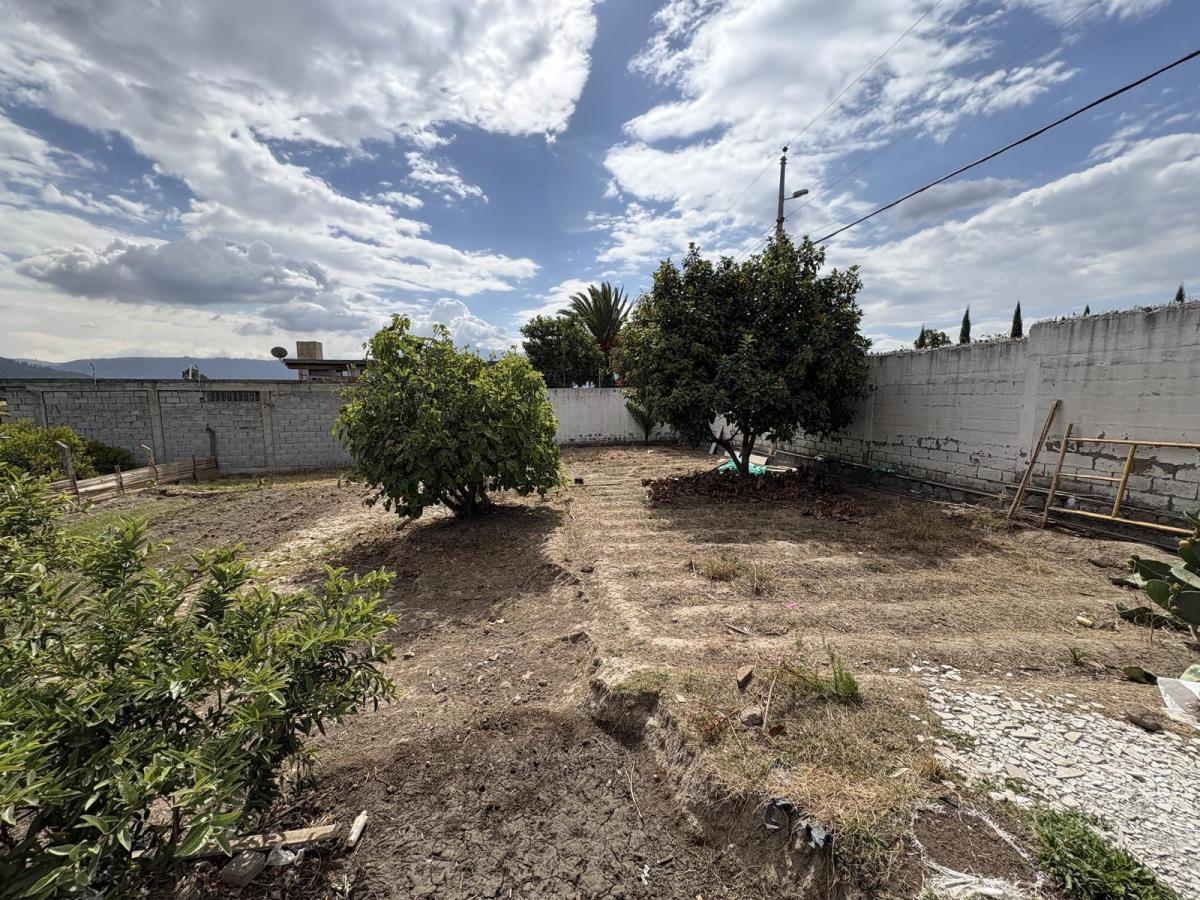 Terreno de Venta Para Conjunto La Morita Tumbaco — imagen 8