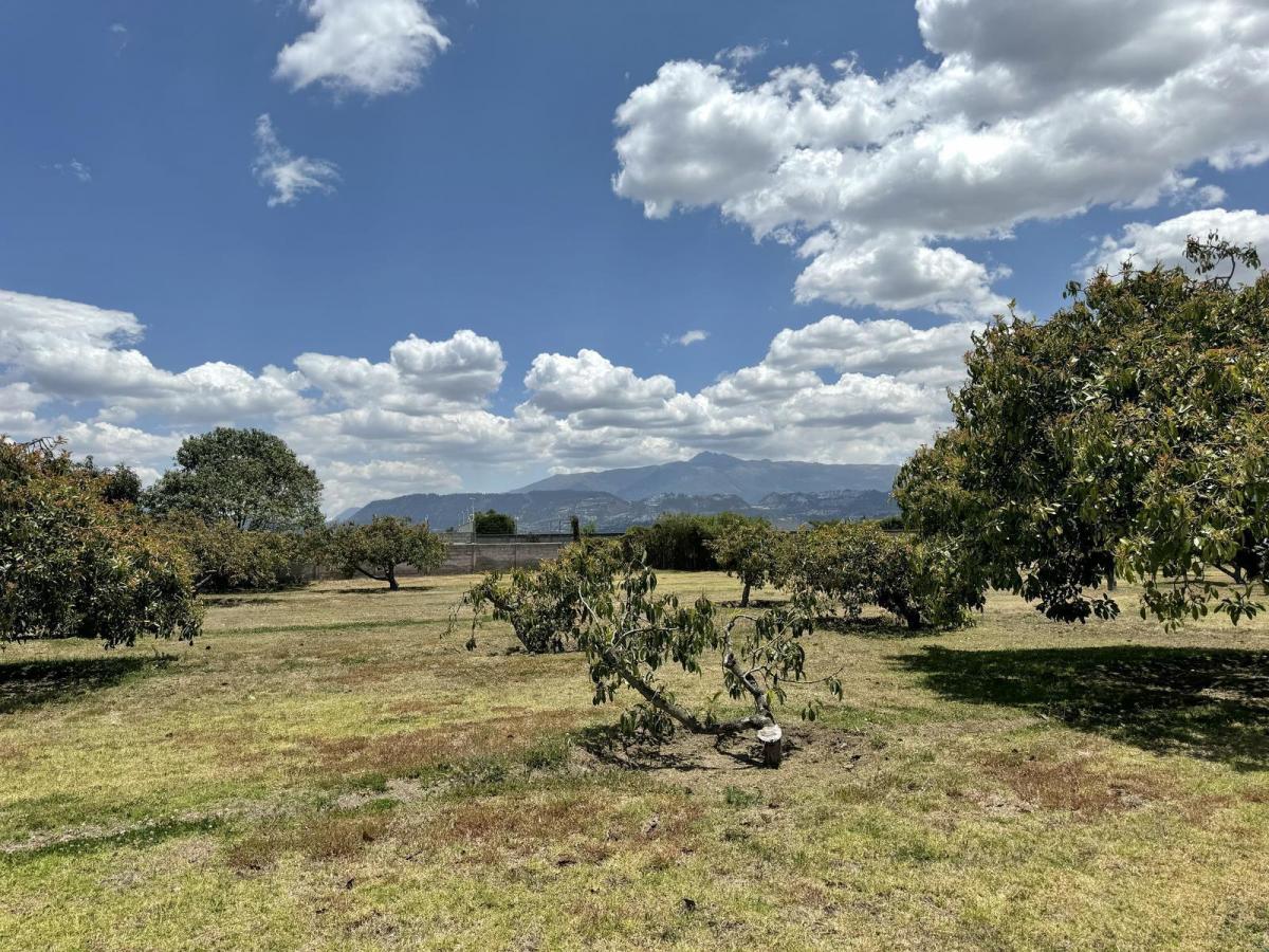 Terreno de Venta Plano en Arrayanes Puembo — imagen 9