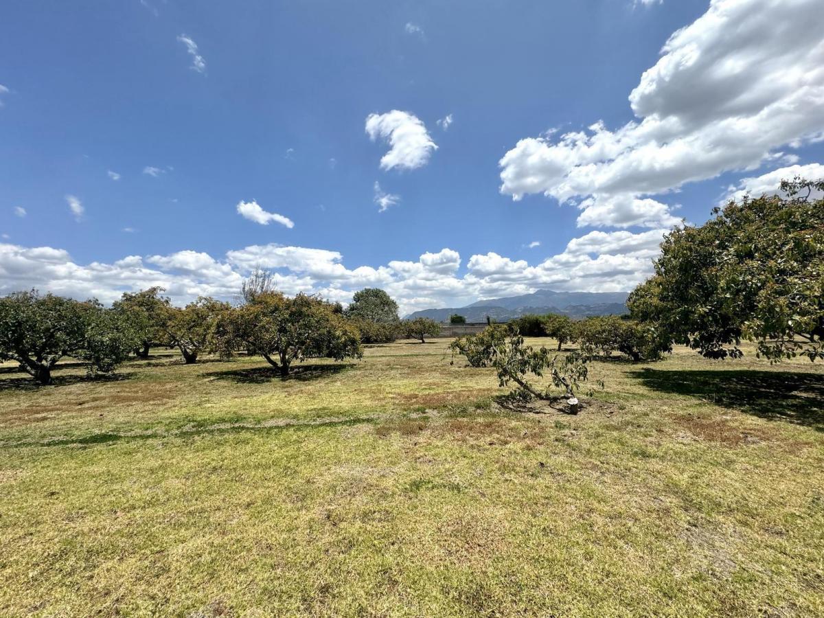 Terreno de Venta Plano en Arrayanes Puembo — imagen 8