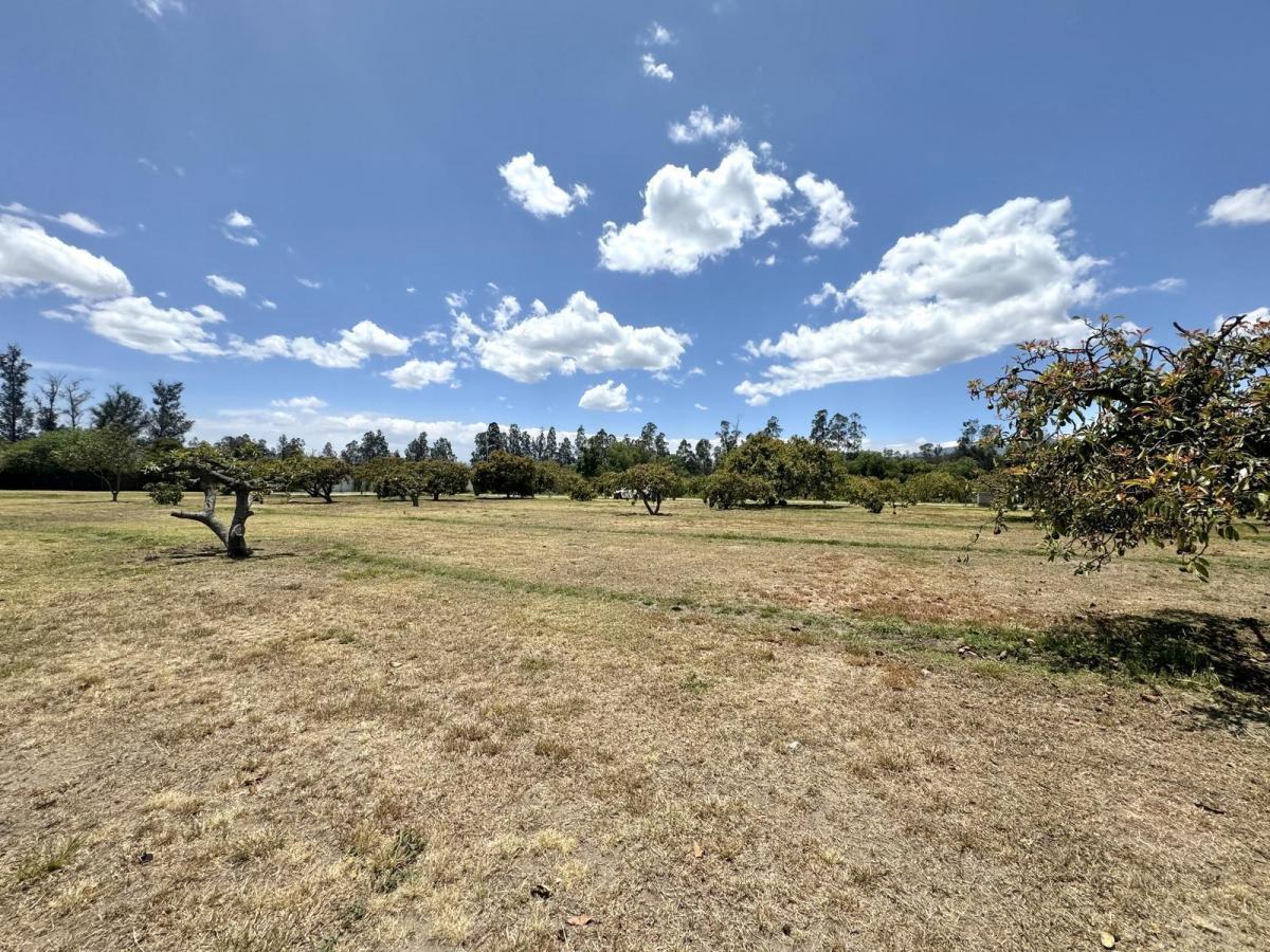 Terreno de Venta Plano en Arrayanes Puembo — imagen 7