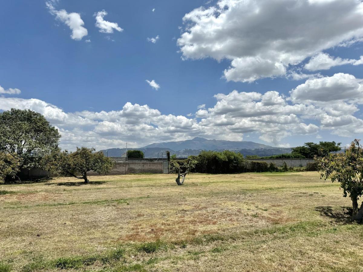 Terreno de Venta Plano en Arrayanes Puembo — imagen 3