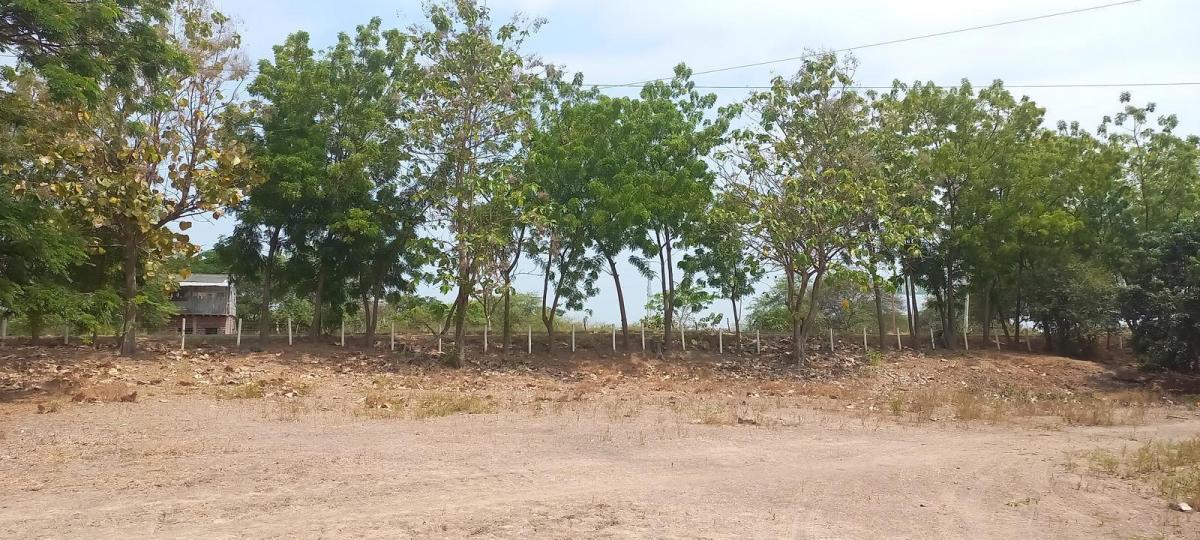 Terrenos de 1500 m² en Lotización Privada en Venta, Guayas — imagen 8