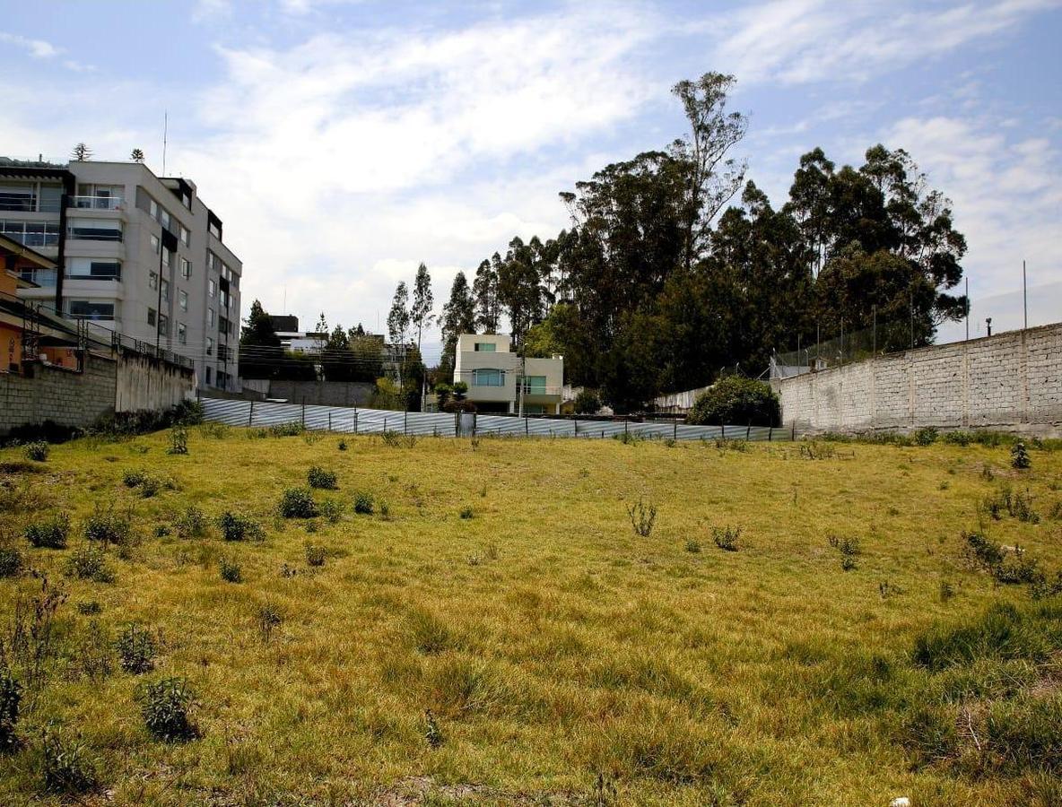 Terreno de Venta - Lomas de Monteserrin — imagen 6