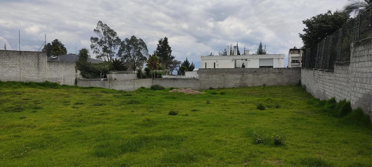 Terreno de Venta - Lomas de Monteserrin — imagen 5