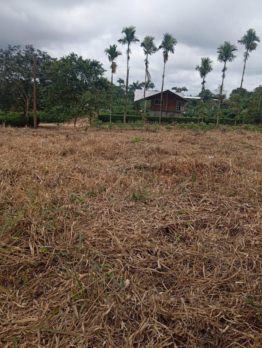 En Venta Terrenos 1000 m² Urbanización en Pedro Vicente Maldonado, Cerca a Quito — imagen 10