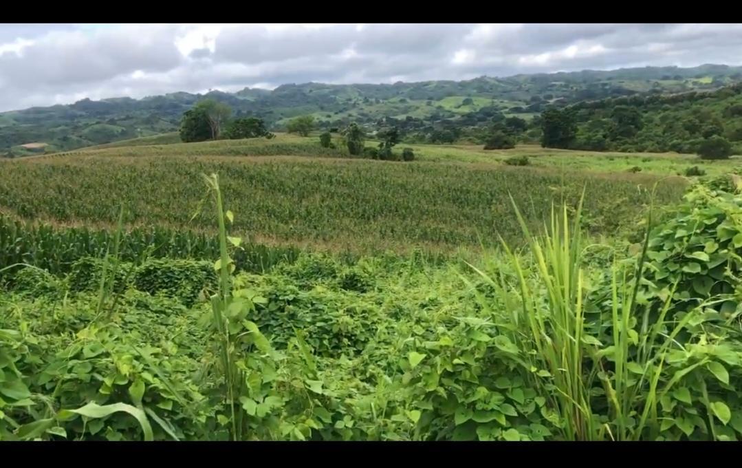 Terreno en venta en Paján, Manabí