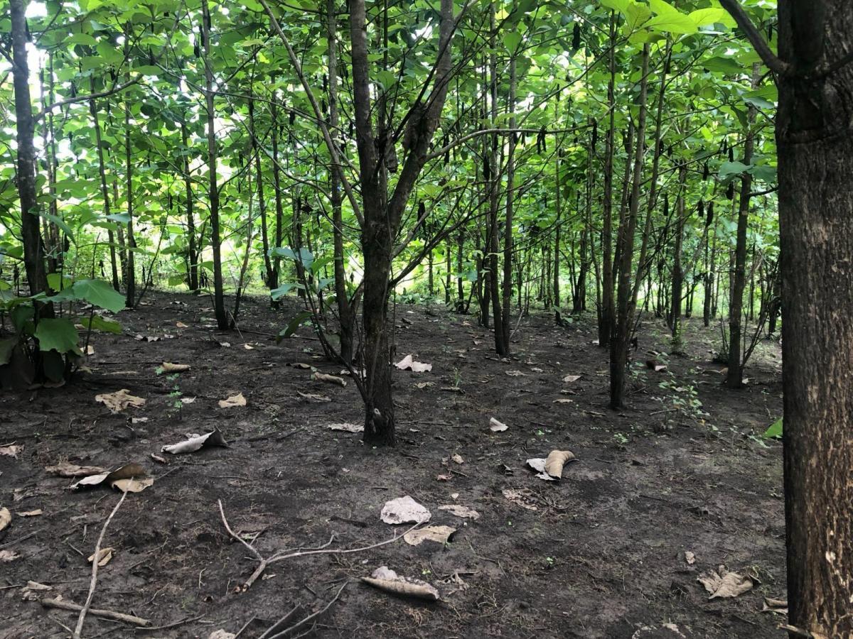 Terreno en Venta, Via Guayas - Manabi Vanc, Manabí — imagen 10