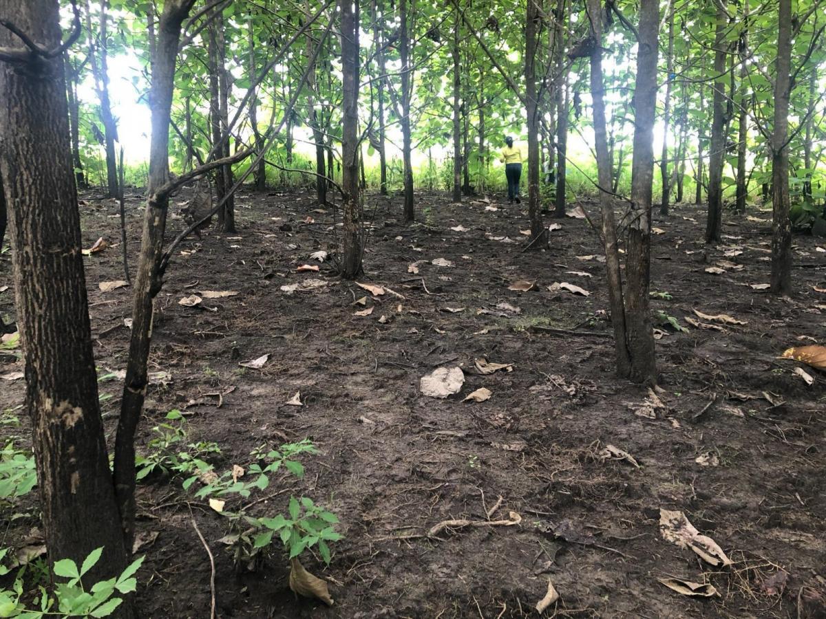 Terreno en Venta, Via Guayas - Manabi Vanc, Manabí — imagen 9