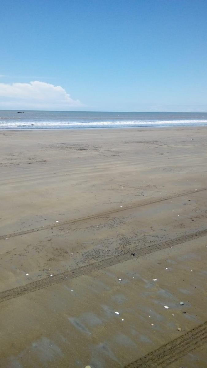 Venta - Playa - Has - Terreno - Paufi - Esmeraldas — imagen 6