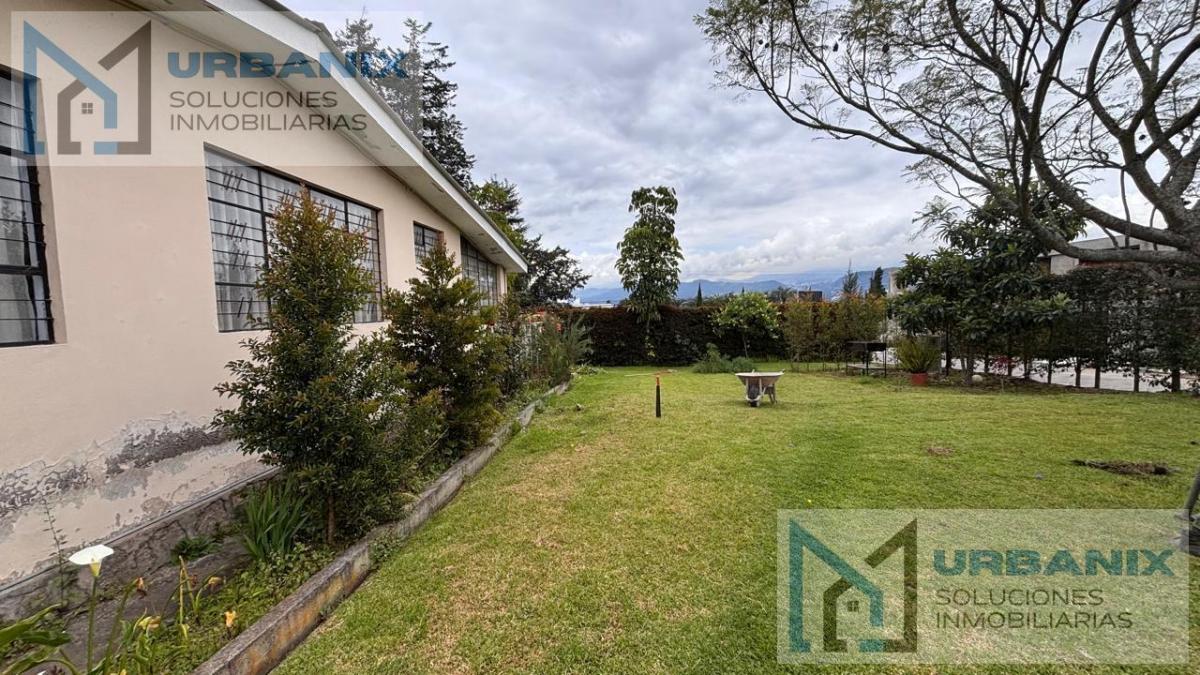 Terreno en Puembo — imagen 9
