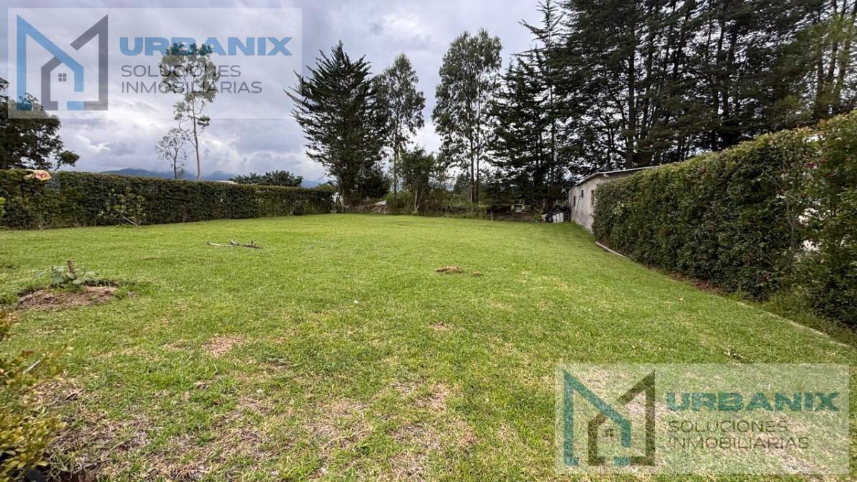 Terreno en Puembo — imagen 4