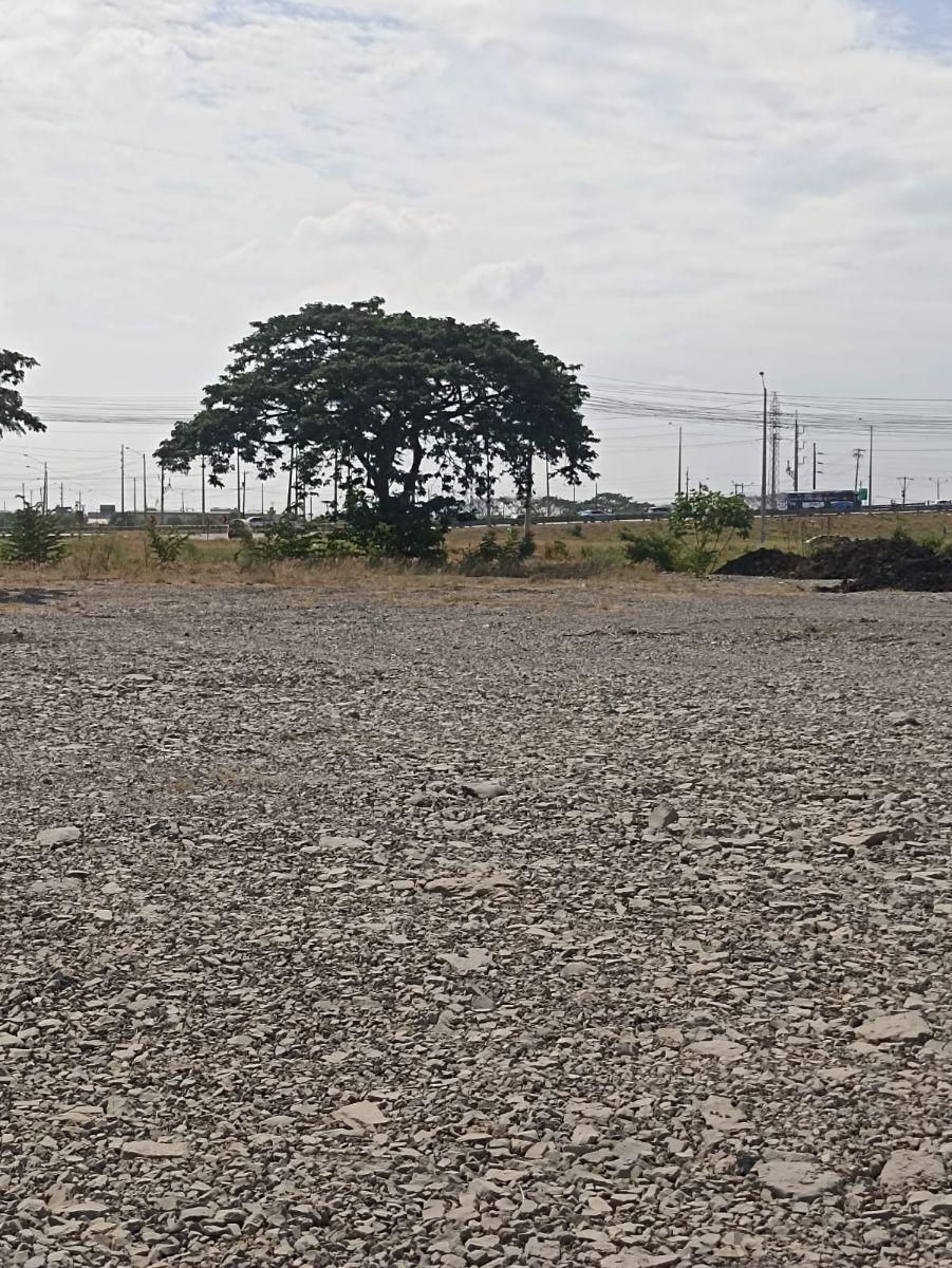 Terreno en Venta 2.100 m² - Zona Industrial, Durán - Ecuador, Guayas — imagen 4