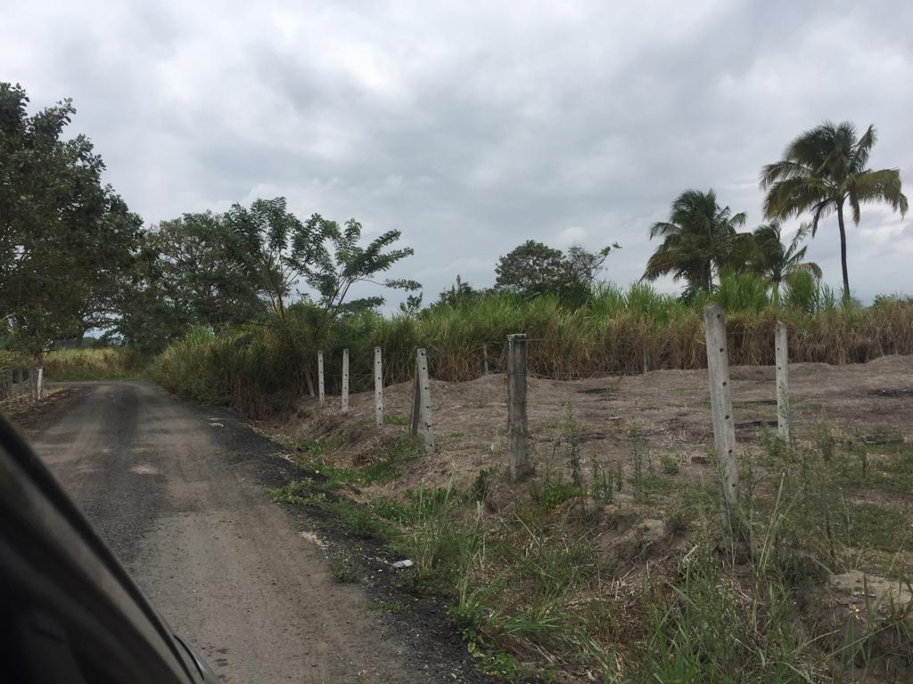 Terreno en Venta de 434 m² en Cojimíes - Pedernales Cerca a La Playa. Manabí — imagen 7