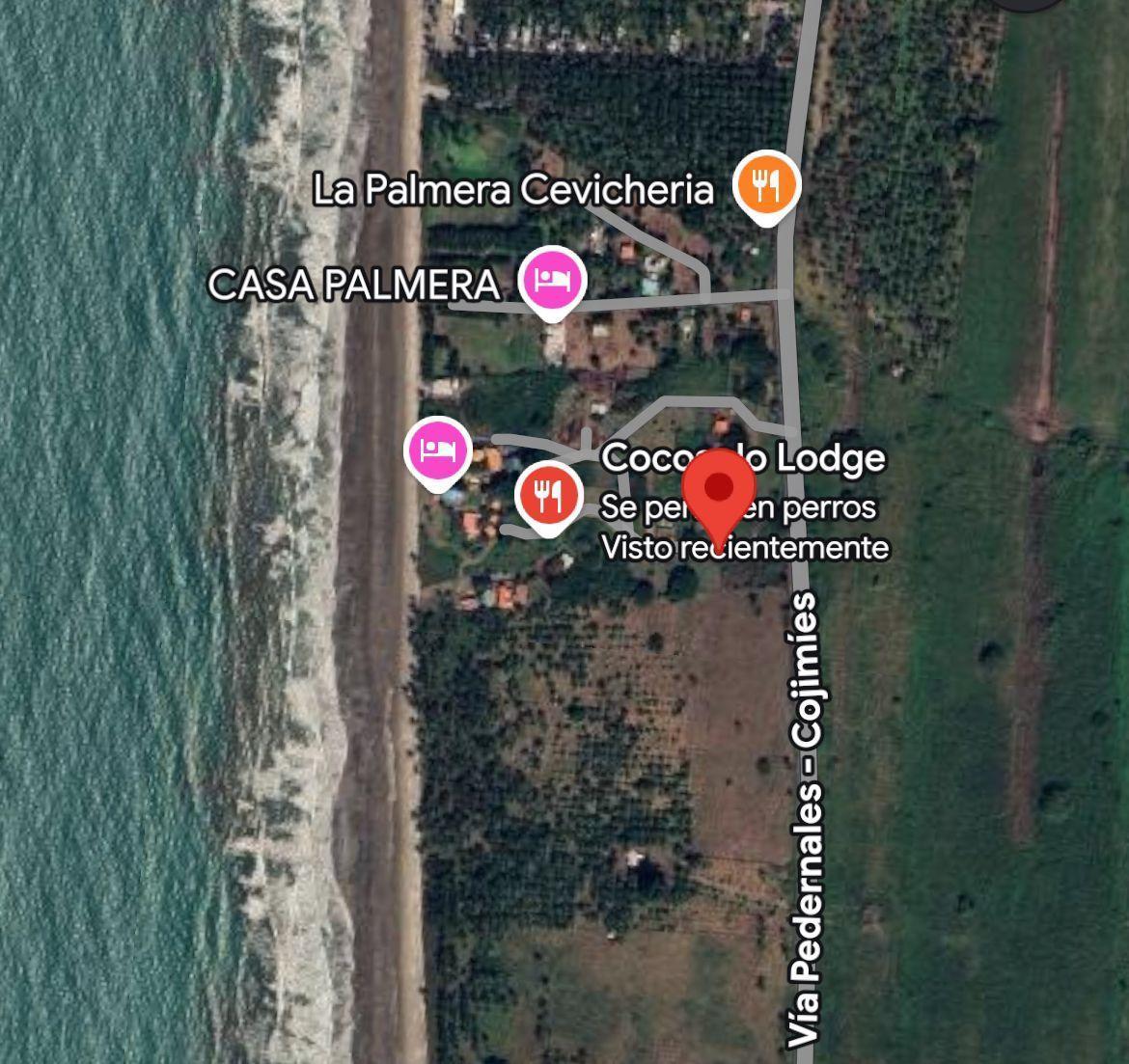 Terreno en Venta de 434 m² en Cojimíes - Pedernales Cerca a La Playa. Manabí — imagen 5