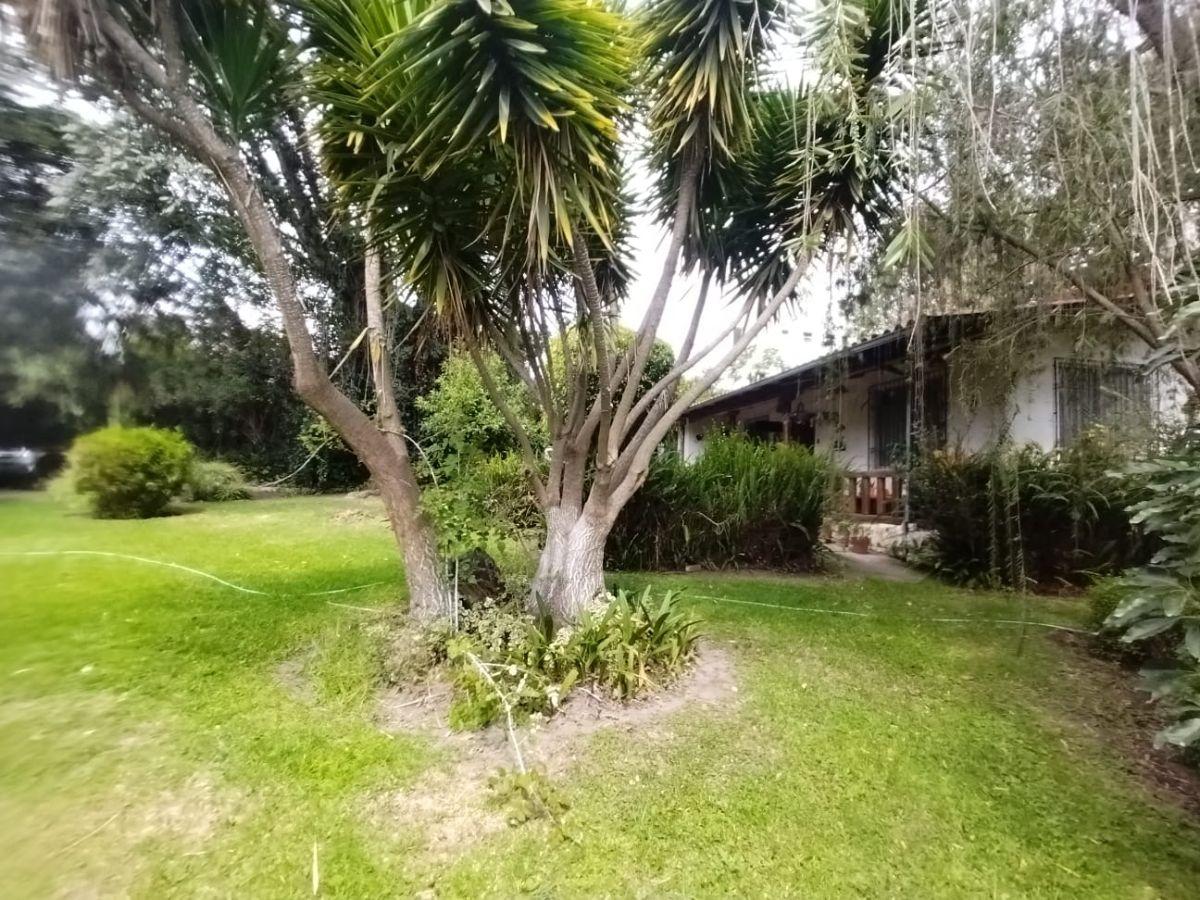 Terreno de 2500 m² en Venta en Tumbaco — imagen 8