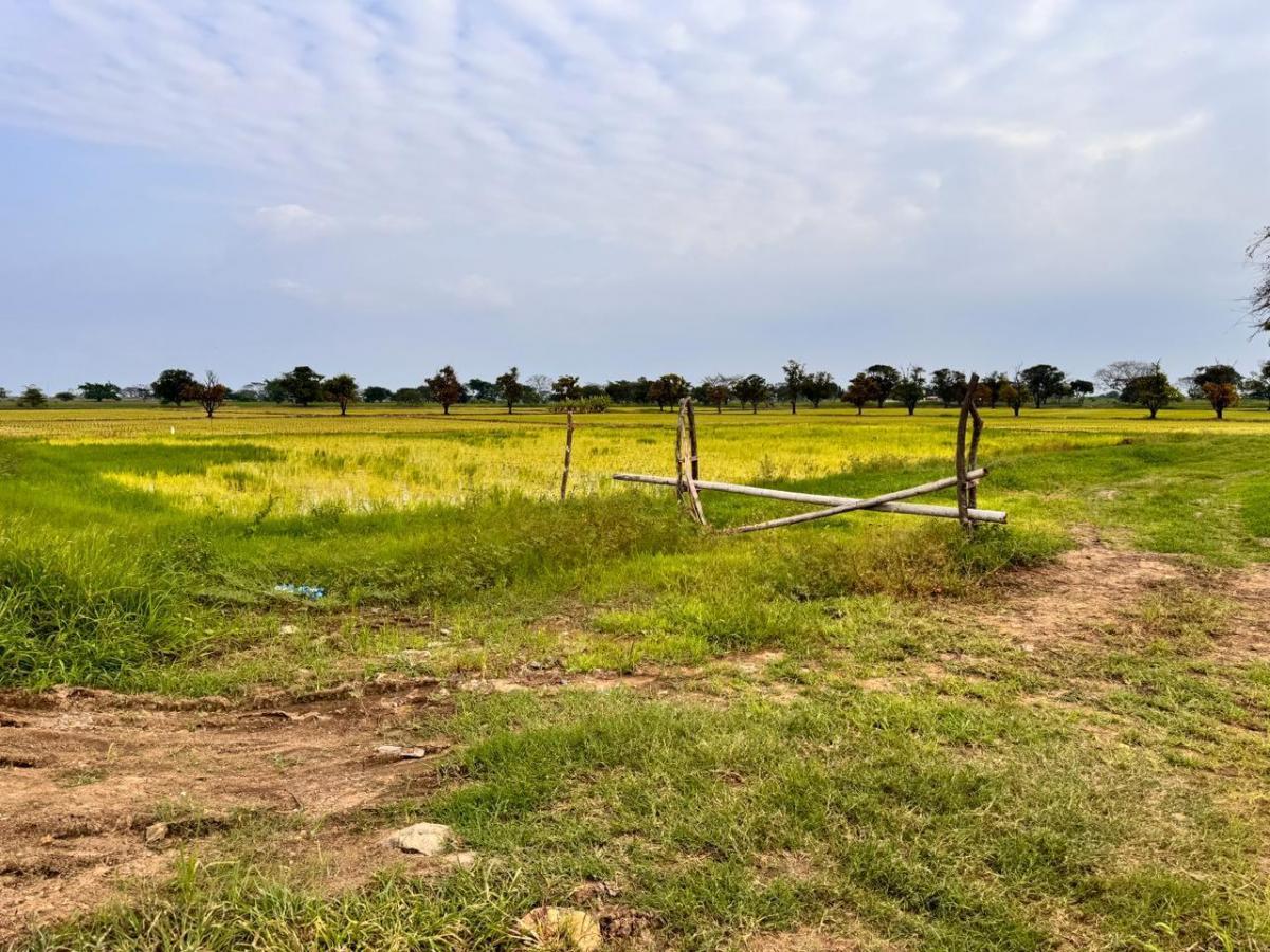 Atención Inversionistas! en Venta Terreno 40000 m² - Vía a Samborondón, Guayas — imagen 5