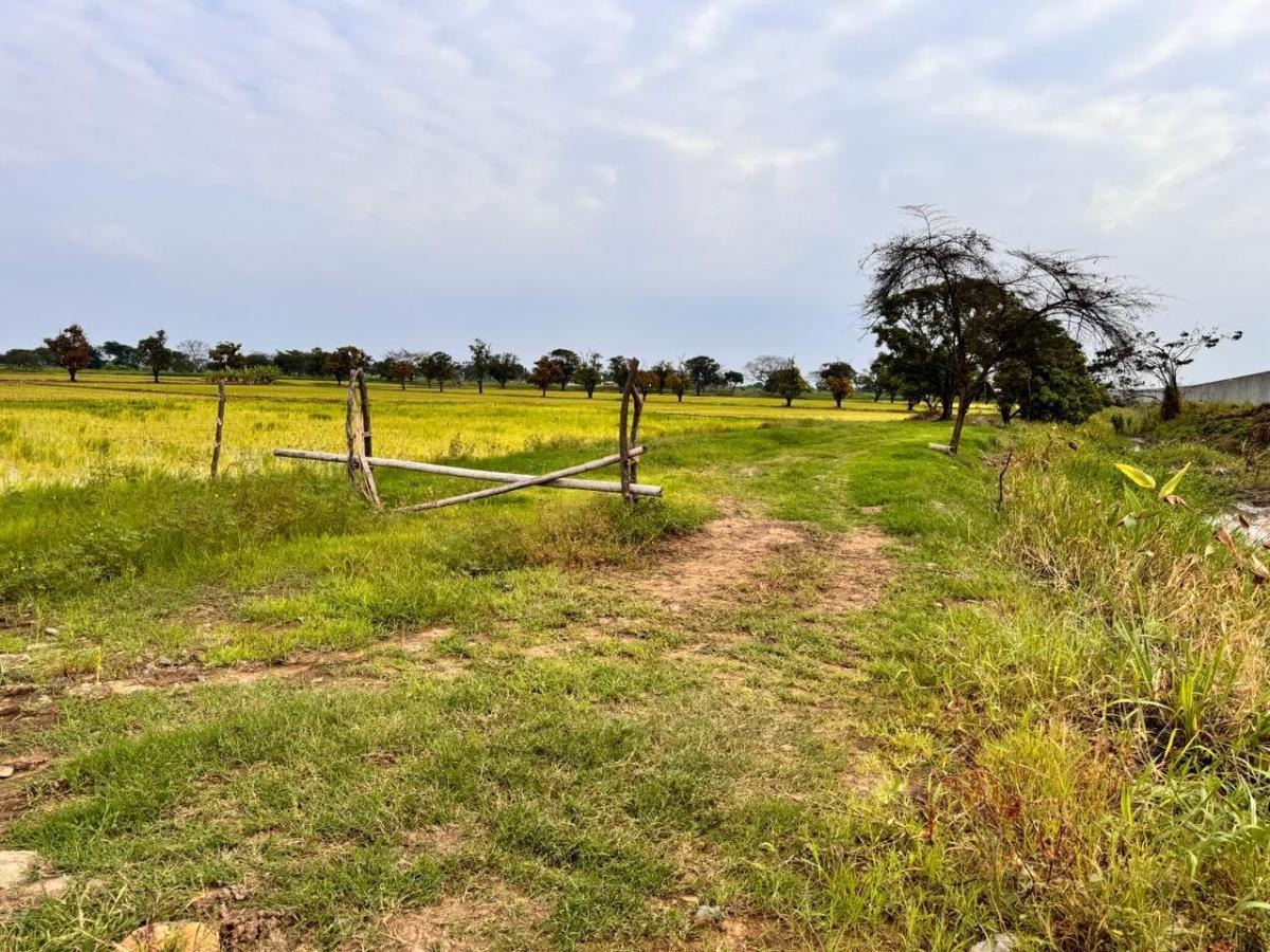 Atención Inversionistas! en Venta Terreno 40000 m² - Vía a Samborondón, Guayas — imagen 4