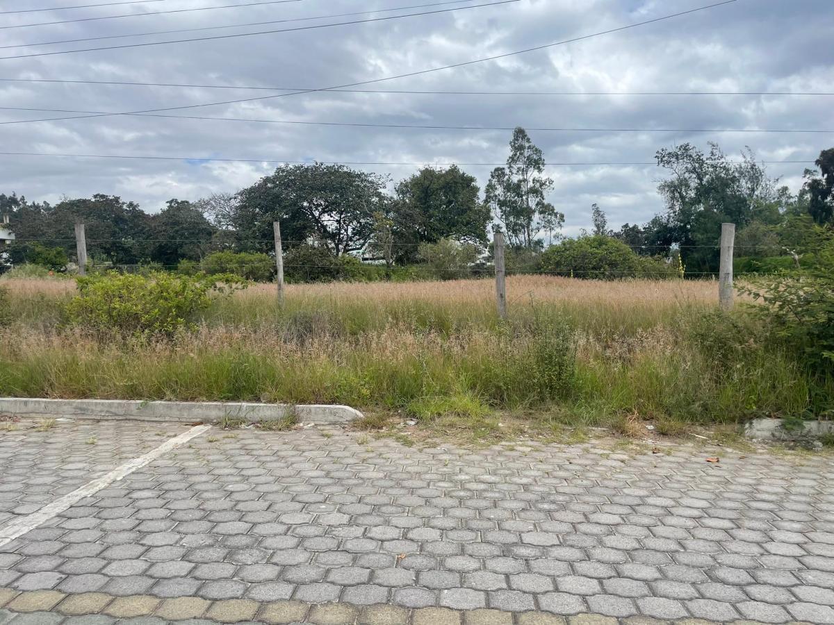 Venta Terreno de 3.999 m² en Nayón — imagen 6