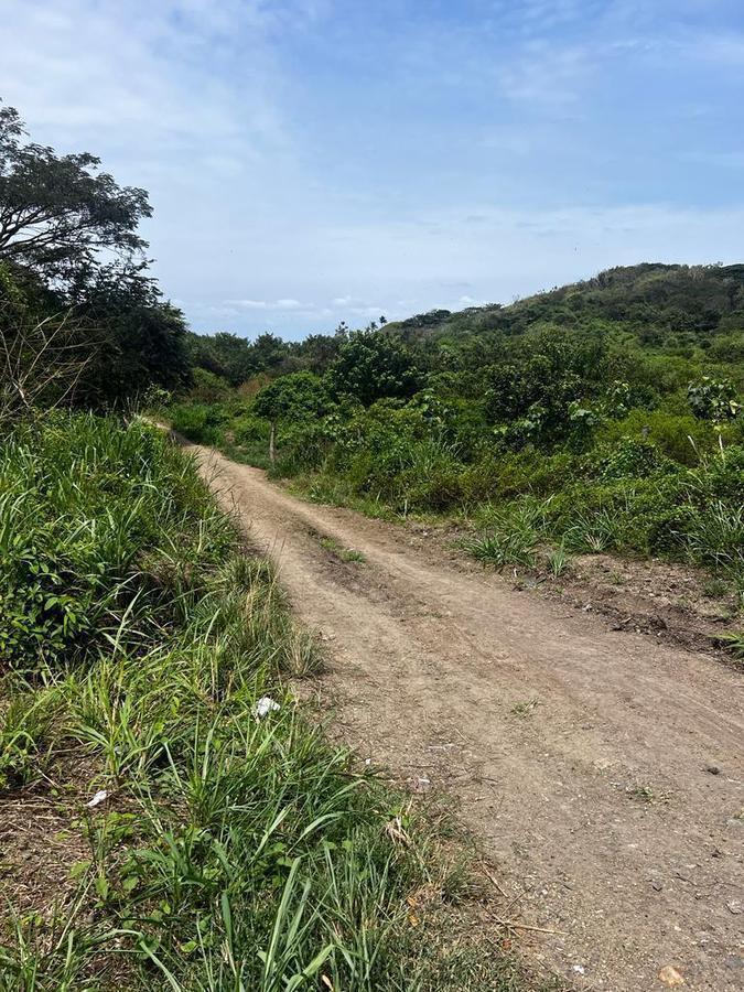 Venta Terreno Cultivo - Hotel Pedernales - Cojimies (Ecuador) 6300 m² Oportunidad, Manabí — imagen 4