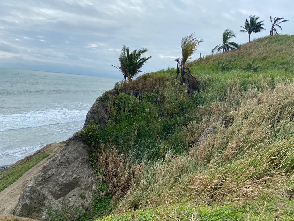Venta Terreno Cultivo - Hotel Pedernales - Cojimies (Ecuador) 6300 m² Oportunidad, Manabí — imagen 2