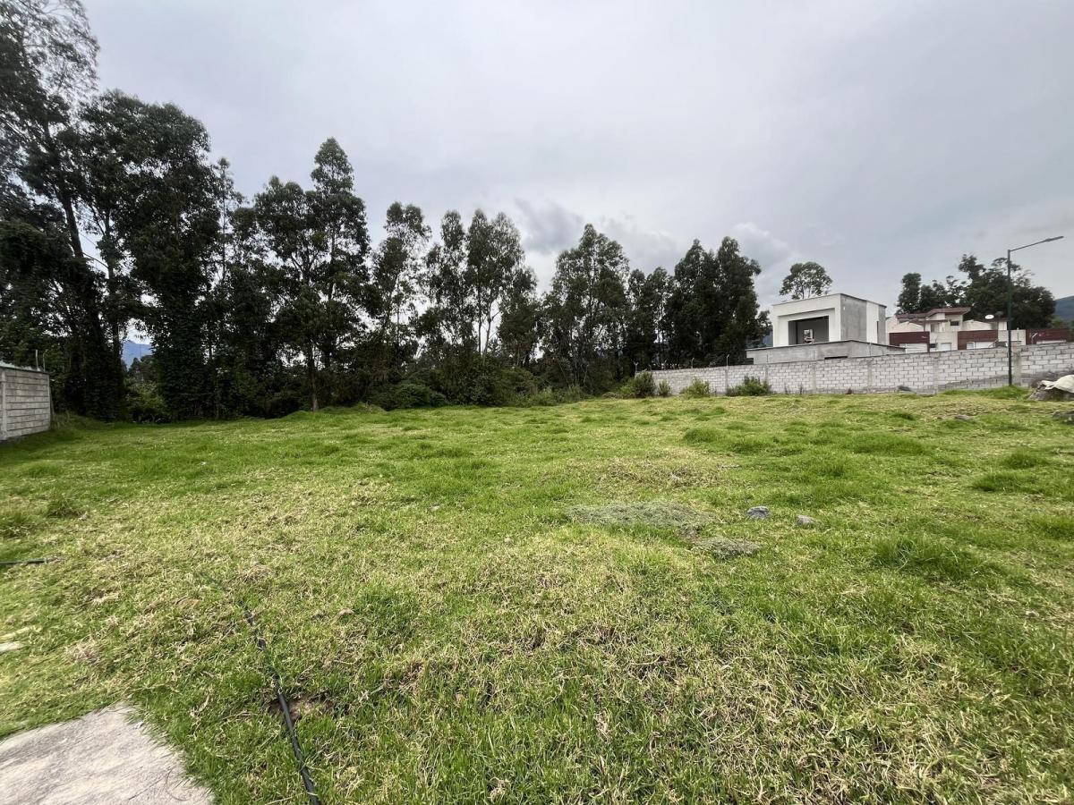 Oc - Sector Conocoto en Venta Terreno en Urbanización 557,38 m² — imagen 7