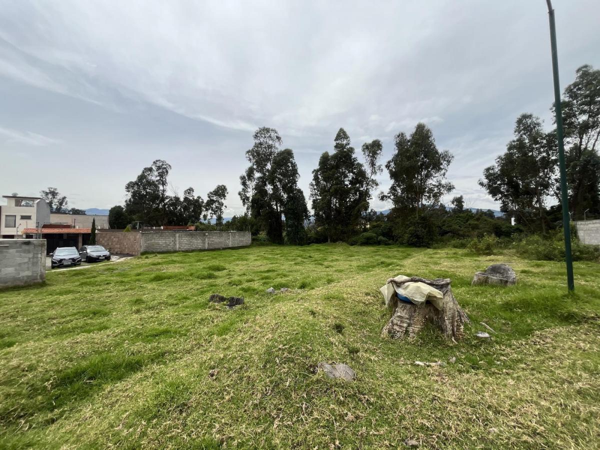 Oc - Sector Conocoto en Venta Terreno en Urbanización 557,38 m² — imagen 5