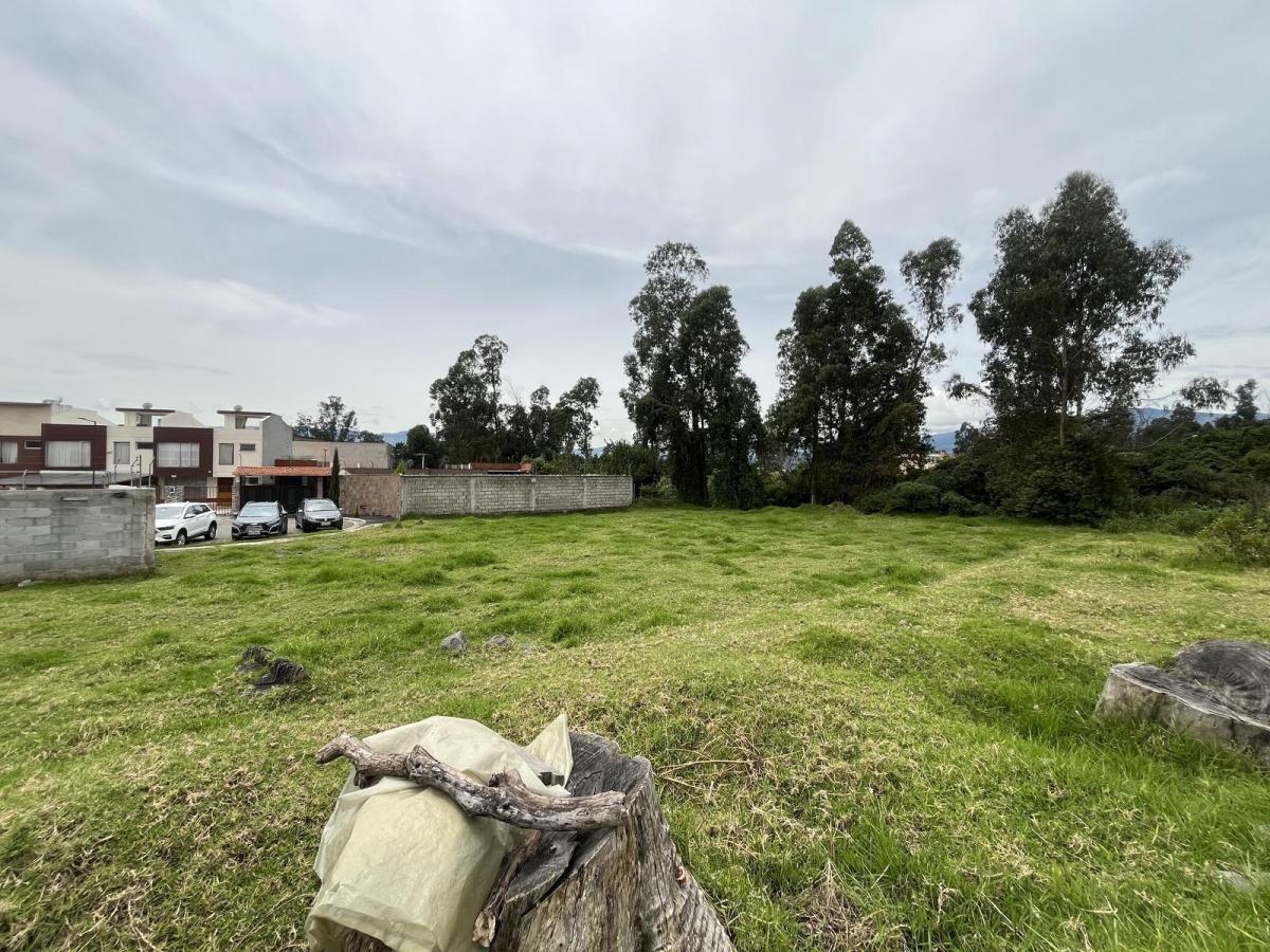 Oc - Sector Conocoto en Venta Terreno en Urbanización 557,38 m² — imagen 4