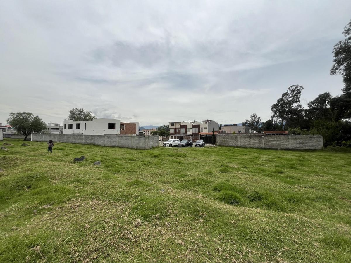 Oc - Sector Conocoto en Venta Terreno en Urbanización 557,38 m² — imagen 2