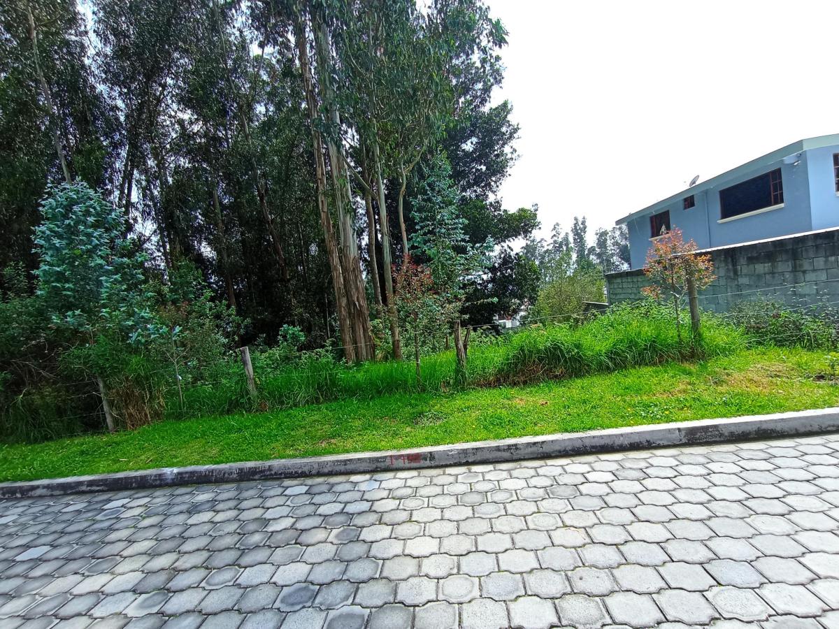 Hermoso Terreno 2.777 m² - Armenia 2 — imagen 8