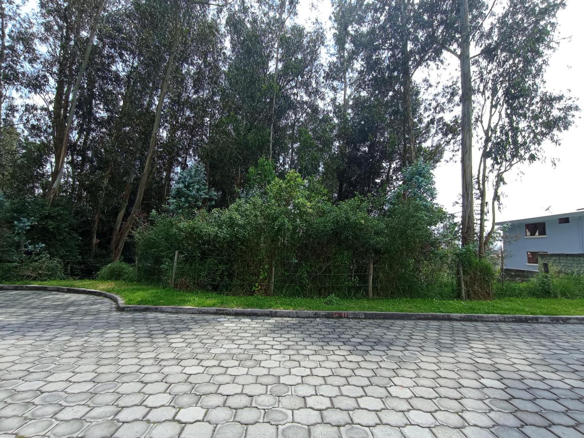 Hermoso Terreno 2.777 m² - Armenia 2 — imagen 3