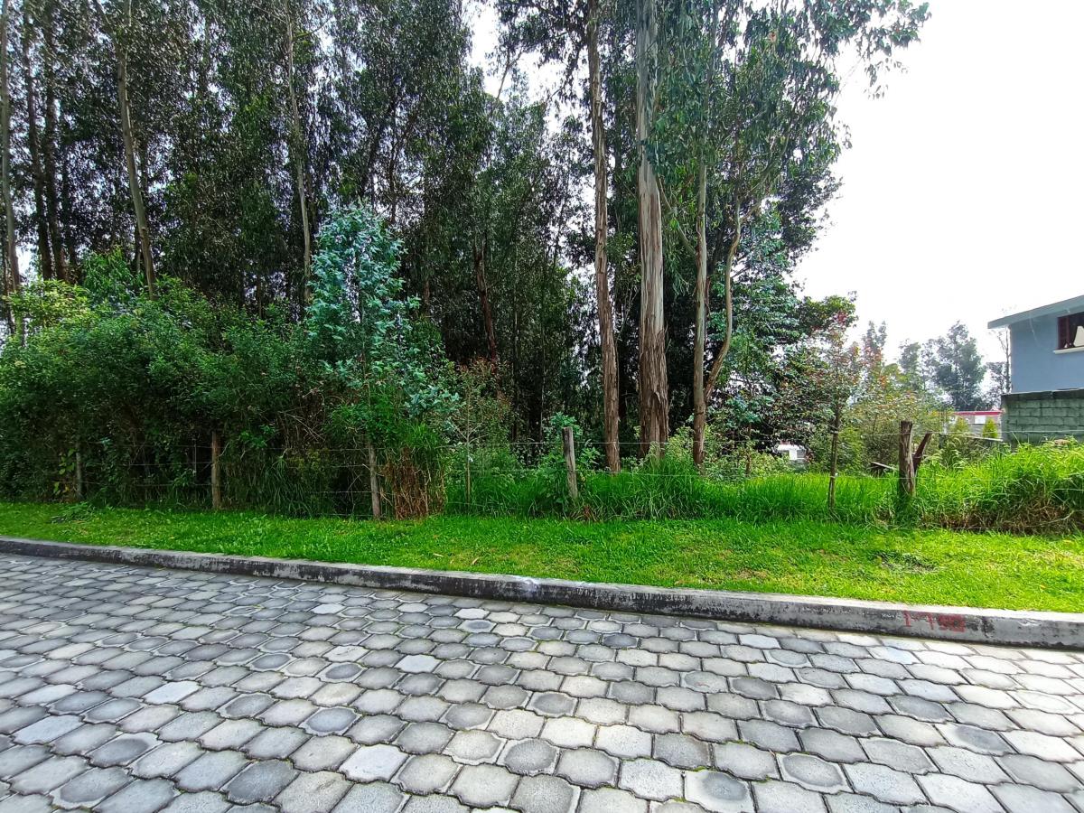Hermoso Terreno 2.777 m² - Armenia 2 — imagen 2