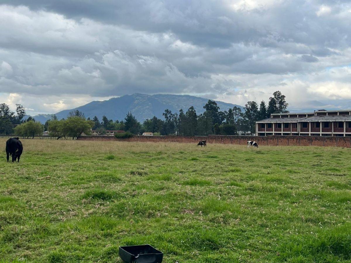 Terreno en Venta Sector Conocoto Valle de Los Chillos — imagen 5