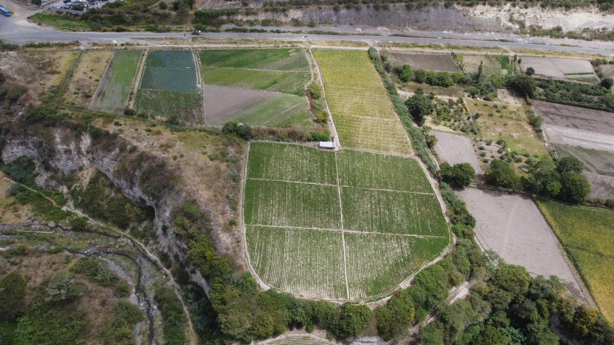 Terreno en Ibarra, Imbabura — imagen 4