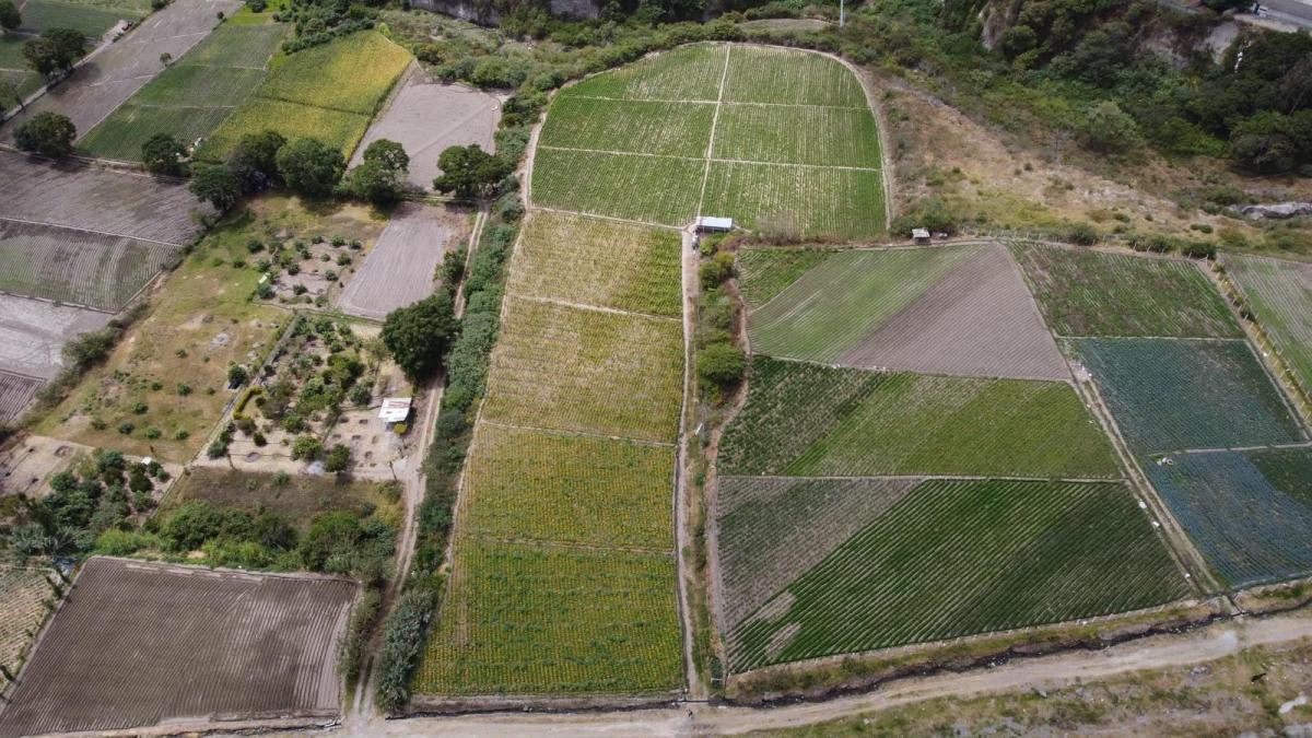 Terreno en Ibarra, Imbabura — imagen 3
