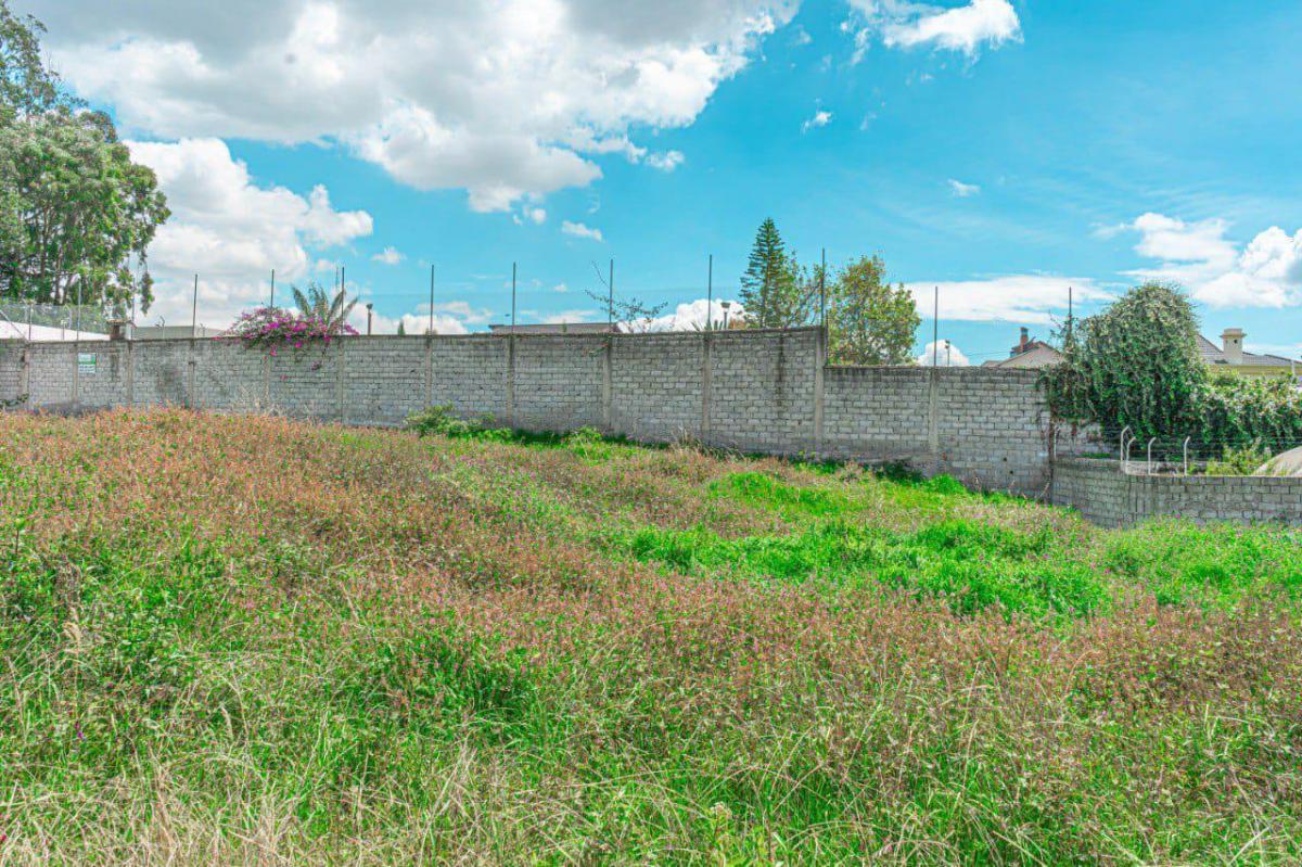 Terreno en Monteserrín — imagen 7